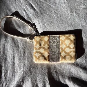 Elegant Tan and Silver Women's Bag